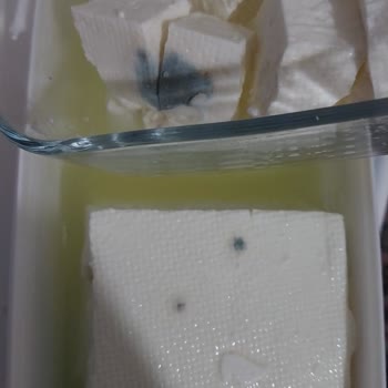 Aldığım Peynir Hızla Küflendi!