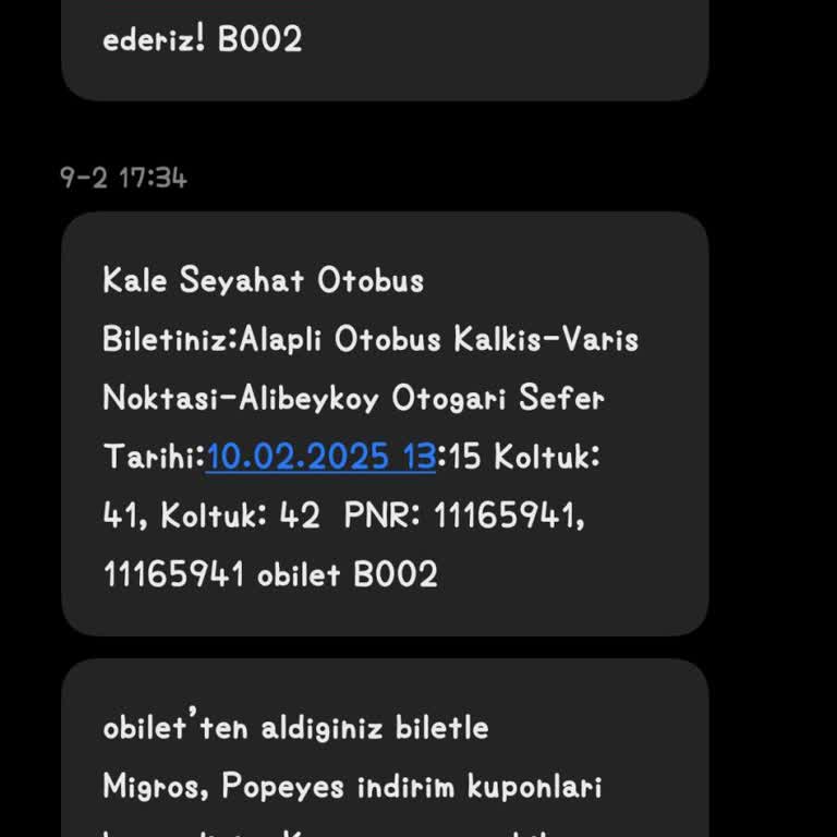 Geç Kalan Otobüs Yolculuğu Ve Sürekli Şikayetler