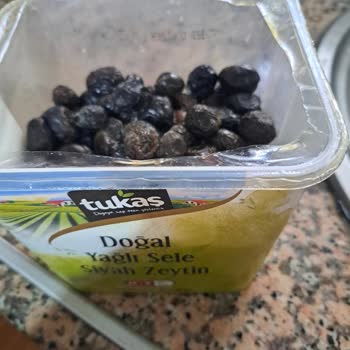 Tukaş Sele Zeytini Küf Problemi