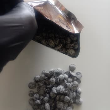 Bozuk Çikolata: A101'den Aldığım Ürün Kalitesiz Çıktı