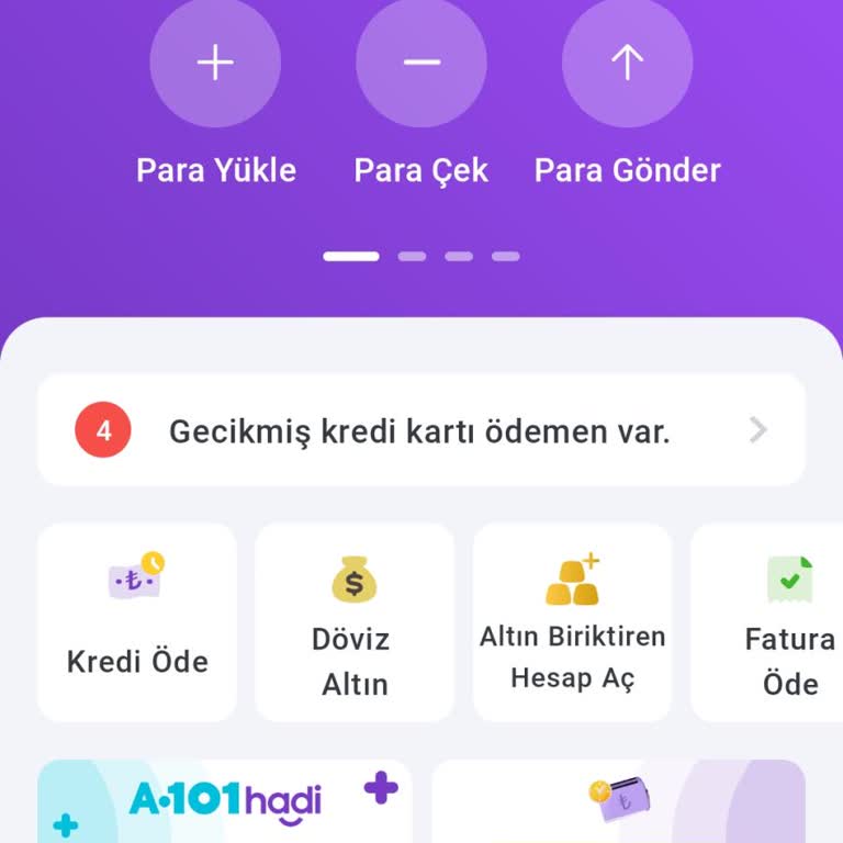 Kredi Kartı Borcu Gecikme Sorunu