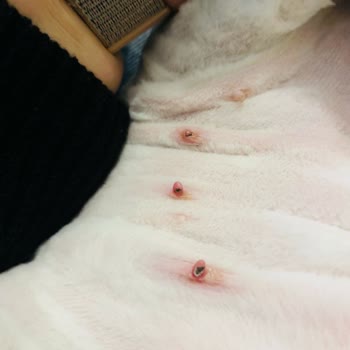 Anestezi Altında Korku Dolu Tıraş Deneyimi