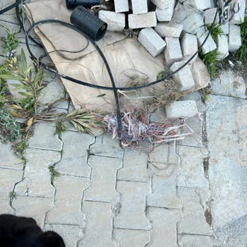 3 Haftadır Çözülemeyen İnternet Sorunu Ve Acil Müdahale Talebi