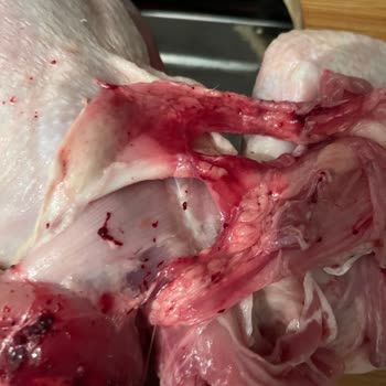 Lezita'dan Aldığım Tavuk Çürük Çıktı!