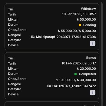 No2Bet Altyapı Sorunları Ve Kazanç Kaybı