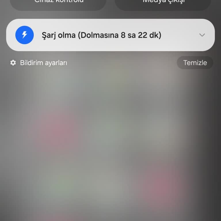 Samsung Telefonun Şarj Sorunu Ve Nem Uyarısı