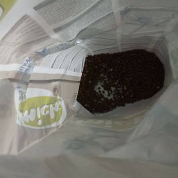 Küflü Kedi Maması: Sağlık Riski Ve Hayal Kırıklığı