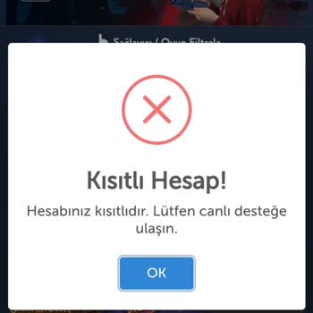 Yatırım Sonrası Karşılaşılan Sorunlar Ve Müşteri Desteği