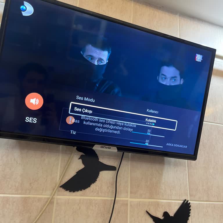 Televizyonun Ses Sorunu: Kulaklık Modunda Takılı Kalıyor