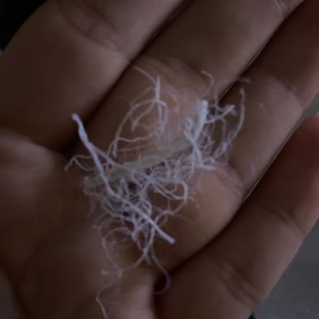 Taç Yastıkta Plastik Tellerle Şok Eden Gece