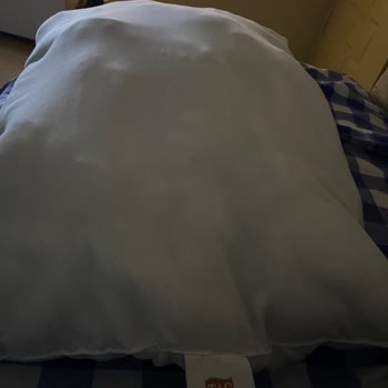 Taç Yastıkta Plastik Tellerle Şok Eden Gece