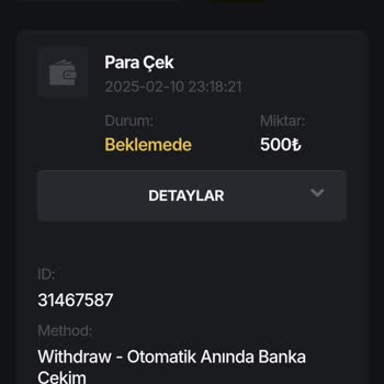 Kazancım Ve Ana Bakiyem Hakkında Mağduriyet