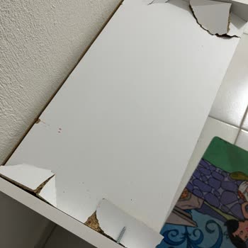 Ayakkabılık Aldım, Hayal Kırıklığına Uğradım