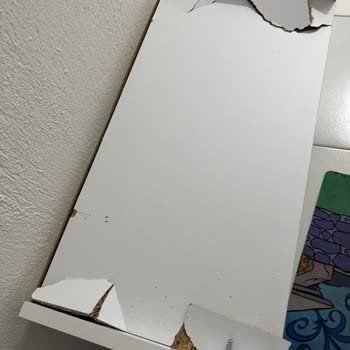 Ayakkabılık Aldım, Hayal Kırıklığına Uğradım