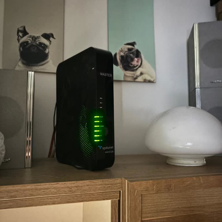 İlgisiz Müşteri Hizmetleri Ve Süreklilik Arz Eden İnternet Sorunları