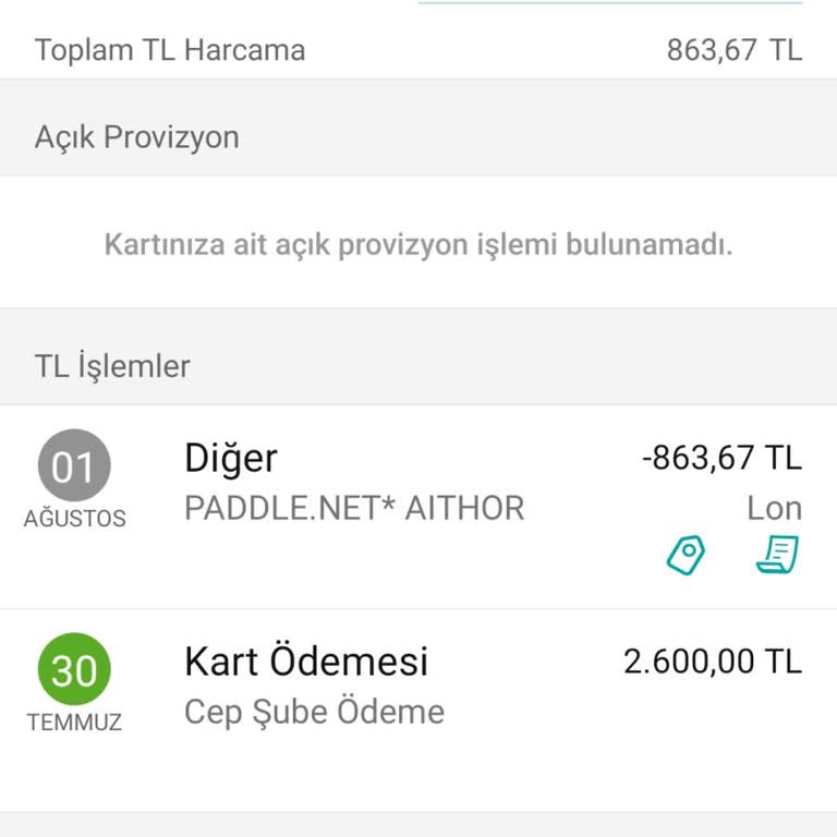 Aithor Charged Me After Membership Cancellation—No Refund