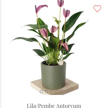 Yanlış Ürün Teslimatı Ve İletişim Sorunları