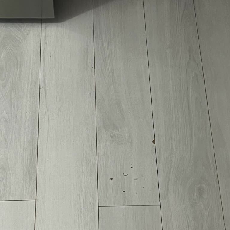 Bosch Yetkili Servis Eve Zarar Verdi!