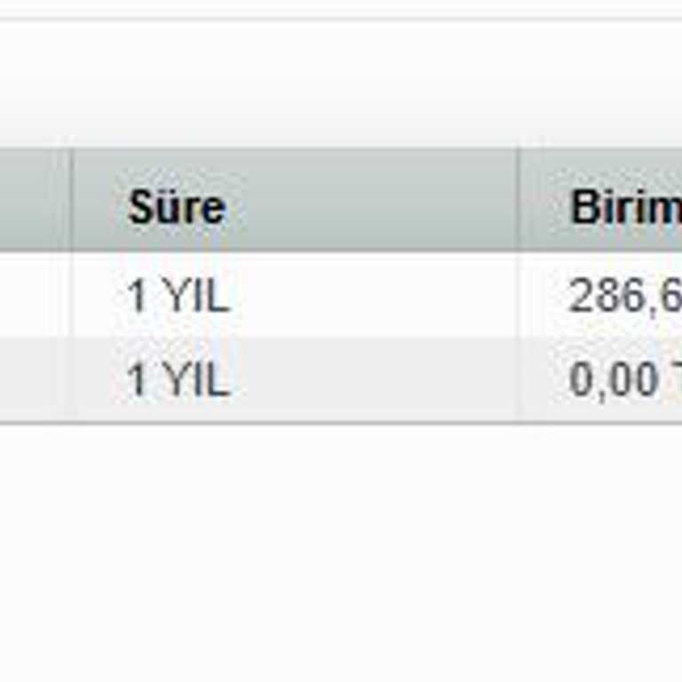 Domain Tescil Sürecinde Gecikme Ve Haksız Ücretlendirme Sorunu