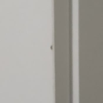 Eva Genç Odası Takımı: Montaj Hataları Ve Değişim Sorunu