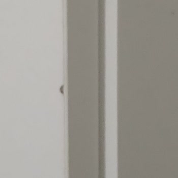 Eva Genç Odası Takımı: Montaj Hataları Ve Değişim Sorunu