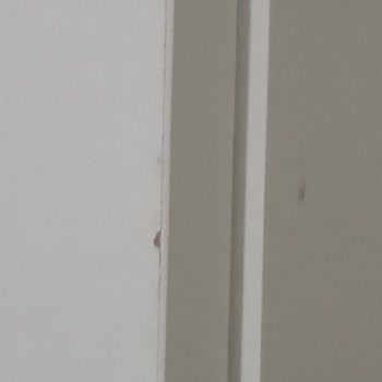 Eva Genç Odası Takımı: Montaj Hataları Ve Değişim Sorunu