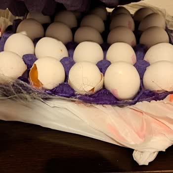 Migros Sanal Market Teslimatında Kırık Yumurtalar Ve Yetersiz Müşteri Hizmeti