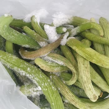 Bosch Buzdolabı Yiyecekleri Bozuyor Ve Çözüm Yok