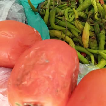 Bosch Buzdolabı Yiyecekleri Bozuyor Ve Çözüm Yok