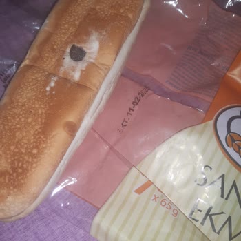 Sandviç Ekmeğinde Beklenmedik Karşılaşma