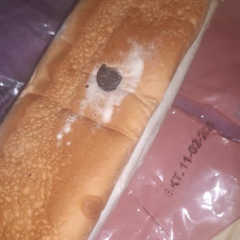 Sandviç Ekmeğinde Beklenmedik Karşılaşma