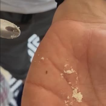 Bebek Mamalarında Şok Edici Böcek İddiası: Güvenilir Markalar Nasıl Denetleniyor?