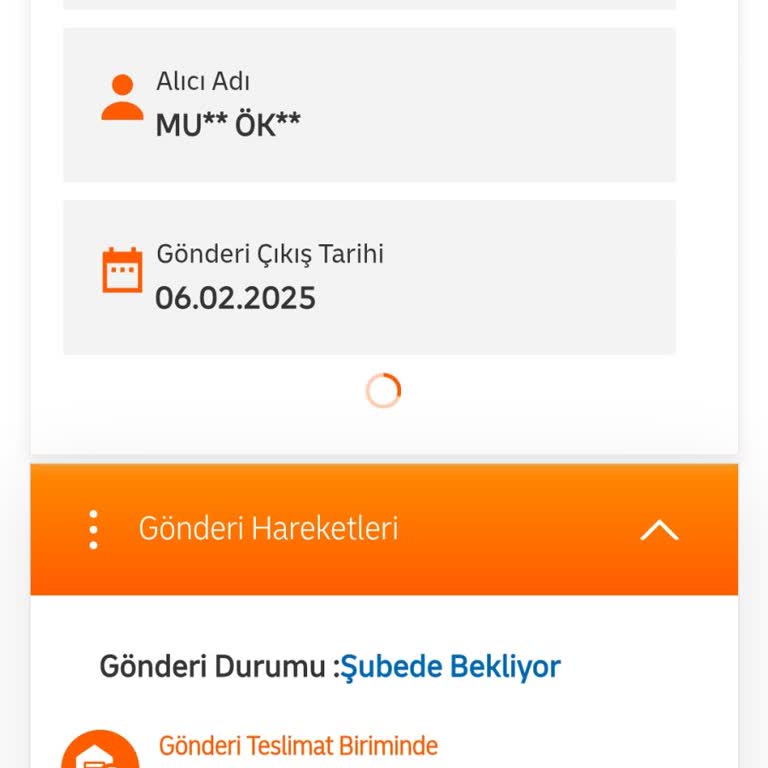 MNG Kargo'nun Adalar Teslimatındaki Sorunlar