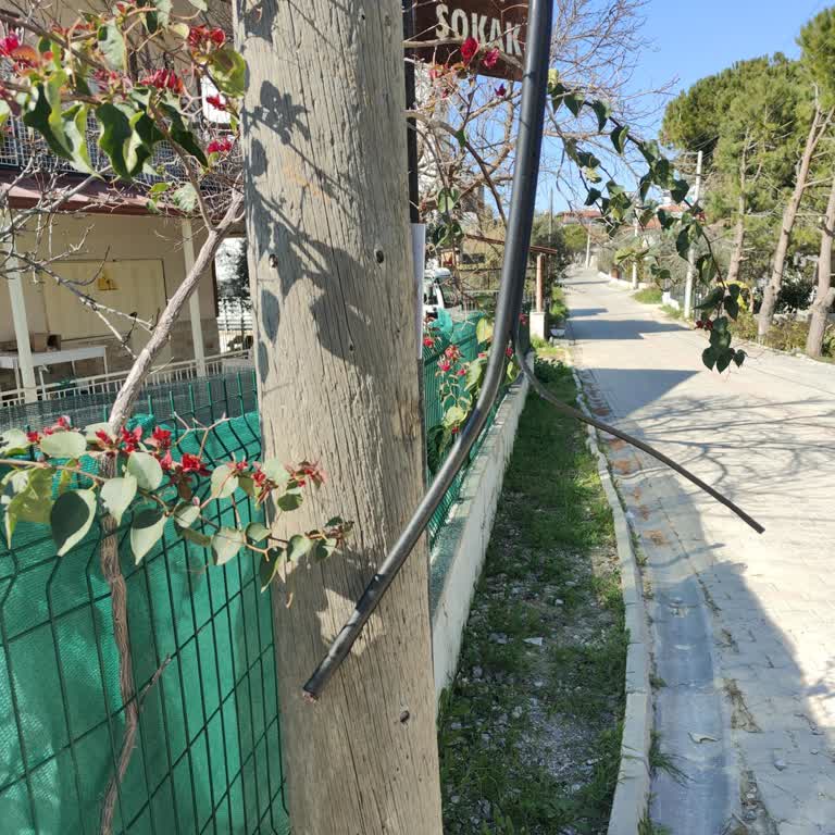 İnternet Hizmeti Kesintisi: Altyapı Sorunu