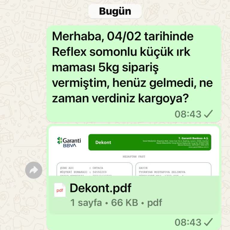 Zoom Pet Market'ten Sipariş Verdim, Ürün Gelmedi