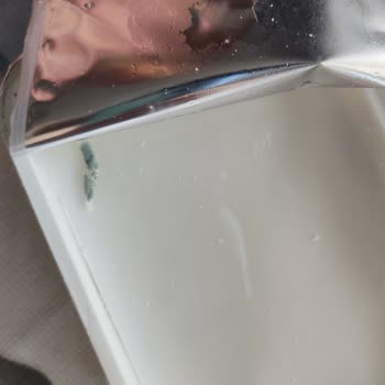 Zincir Marketten Aldığım Ekici Peynirde Gizemli Yeşil Cisim Şoku