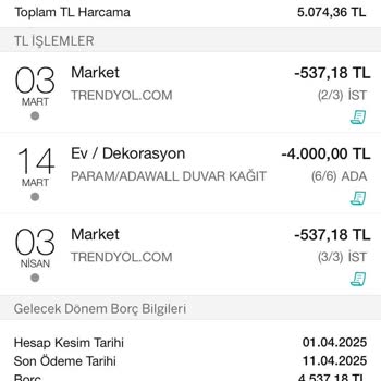Garanti Bankası Ekstre Hatası: Fazla Borç Çıkması