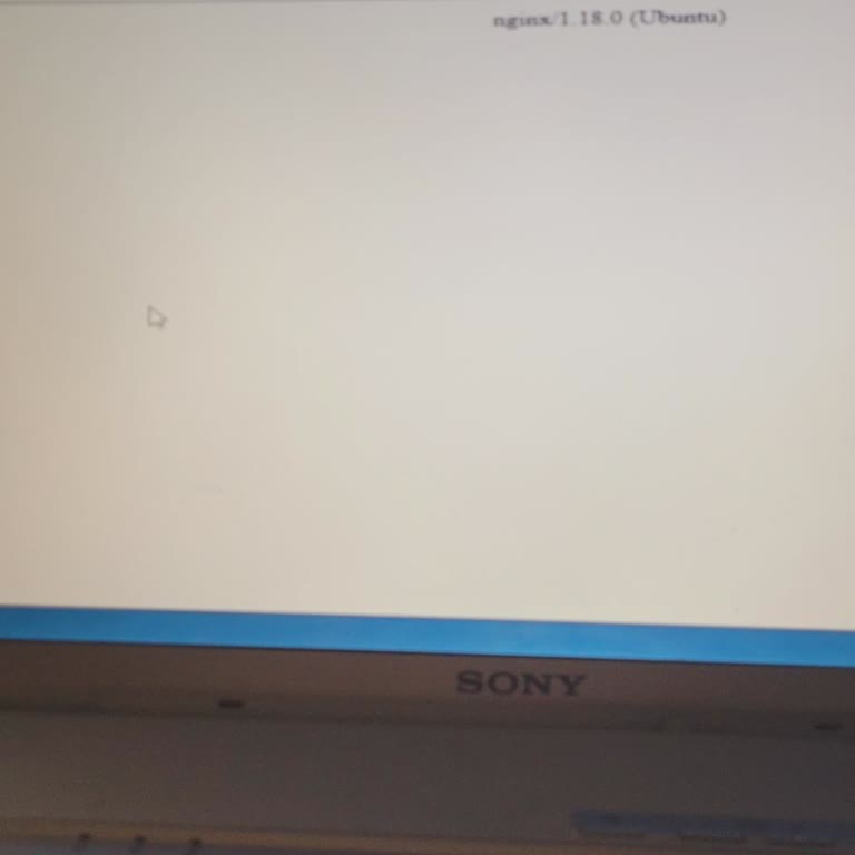 E-Kampüs Uygulamasında Sürekli 404 Hatası Sorunu
