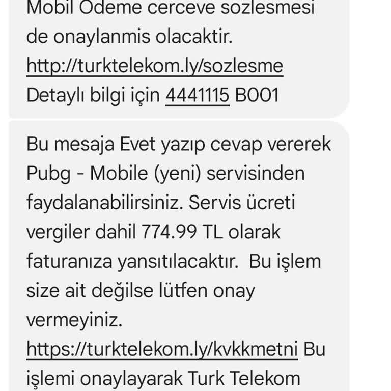 İzinsiz Yapılan PUBG Harcamaları