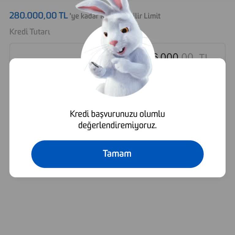 Kredi Limiti Yanıltıcı: Onaylanmayan Başvuru