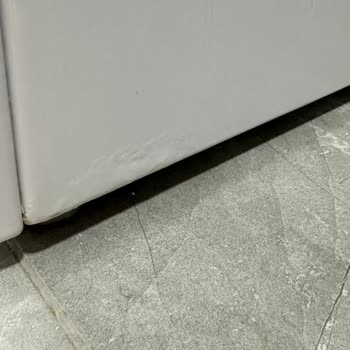 Siemens Washing Machine Rusted Again in 7 Months but Warranty Claim Was Denied