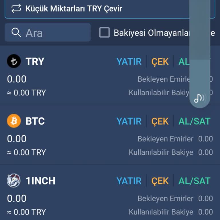 Bitexen Hesabımda Kayıp Para Sorunu