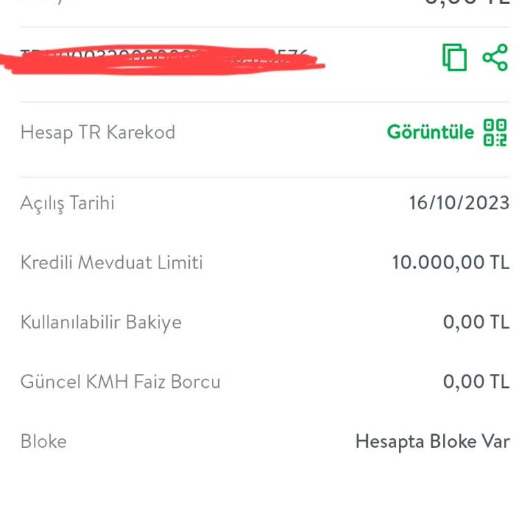 Ödenen Borca Rağmen Kaldırılmayan Bloke Sorunu