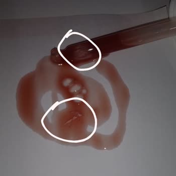 Ürün Kalitesi Ve Güven Sorunu