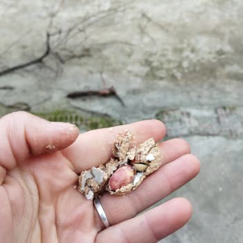 Haksız Hesap Askıya Alınma