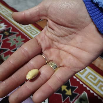 Haksız Hesap Askıya Alınma