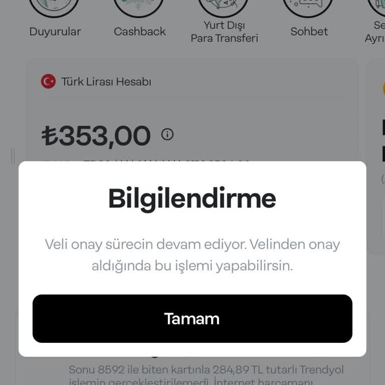 Papara Veli Onayı Sorunu Ve Kimlik Doğrulama Engeli!