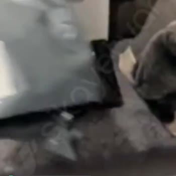 Rampage Acil Destek Bekliyorum!
