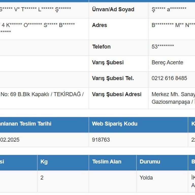 Kayıp Kargo: İkitelli'de Tıkanan Süreç