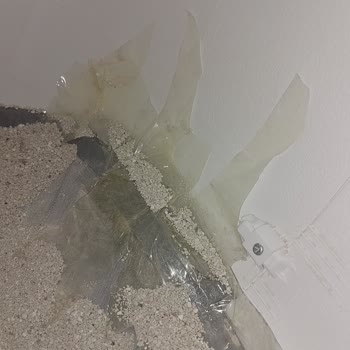 Dayanıksız Kedi Tuvaleti: Wero'nun Tasarım Hatası